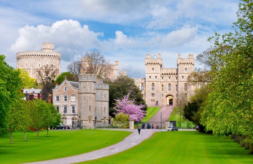 Berkshire Team Activities'